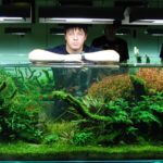 Аквариум Амано Такаши — удивительный подводный мир
