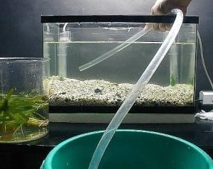 вода для аквариума