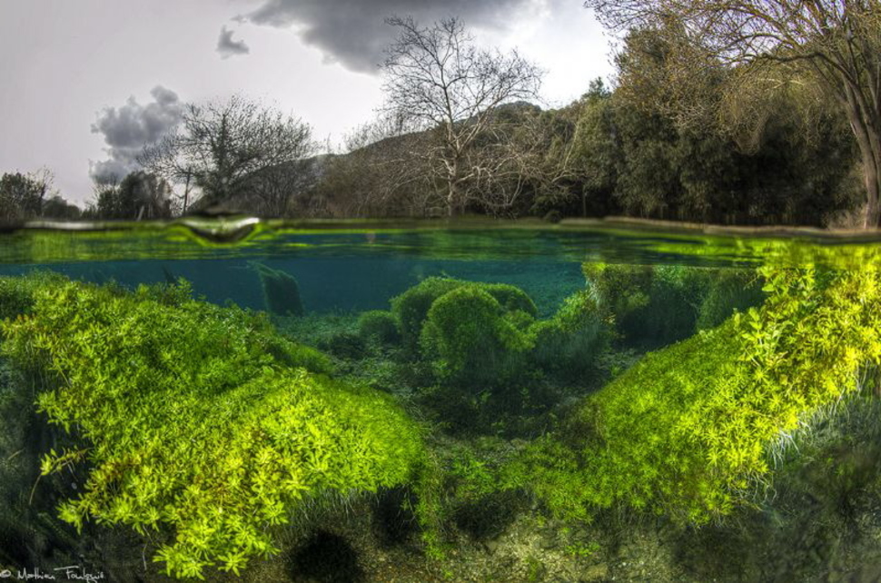 34 невероятные фотографии о том, что скрывается под водой - 4