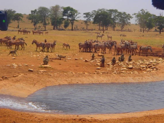 Этот фермер-герой напоил водой всех диких животных своей пустыни (+Фото)