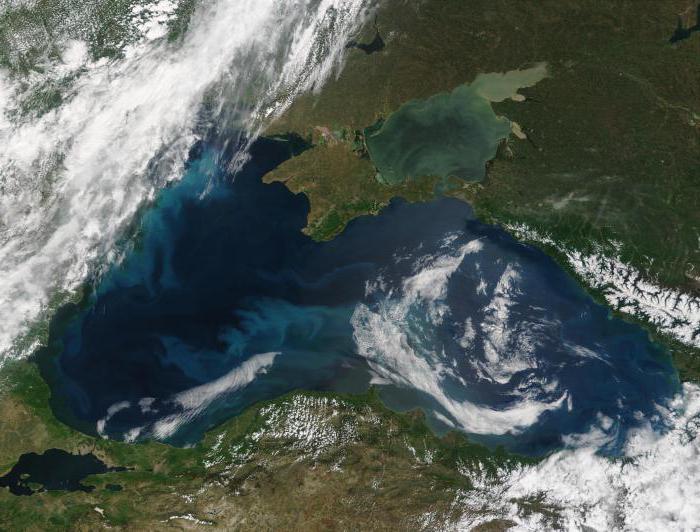 Откуда в Черном море сероводород