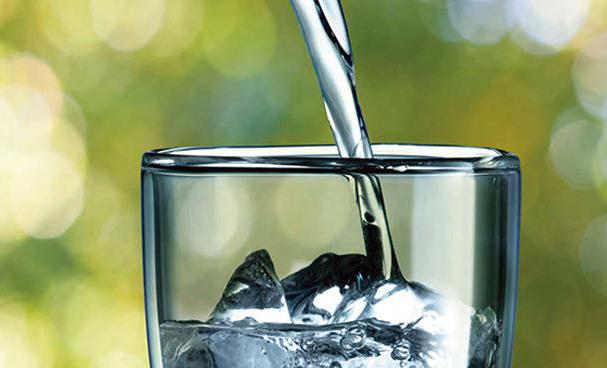 общие колиформные бактерии в питьевой воде