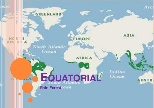 экваториальный тропический пояс 