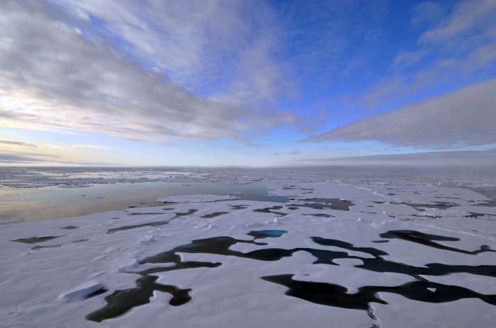 материки в арктических морях 