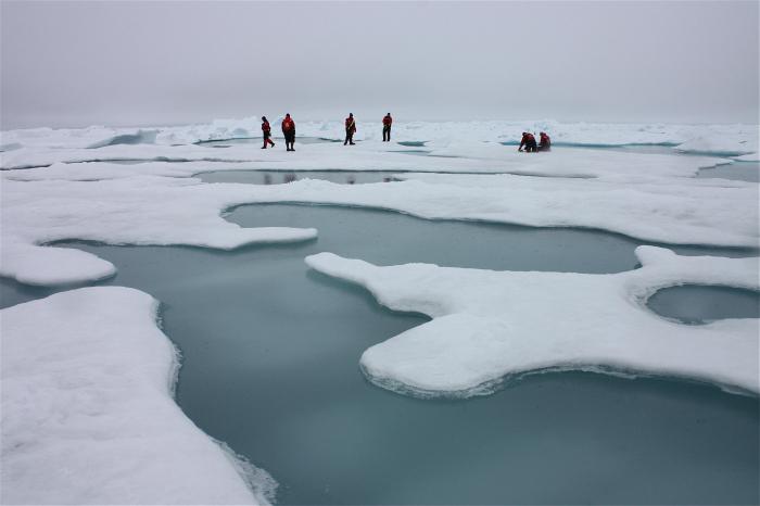 моря арктического шельфа 