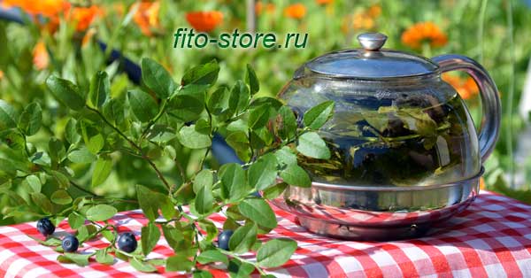 Фито-чай из листьев черники
