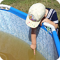 бассейн на даче своими руками с системой очистки воды