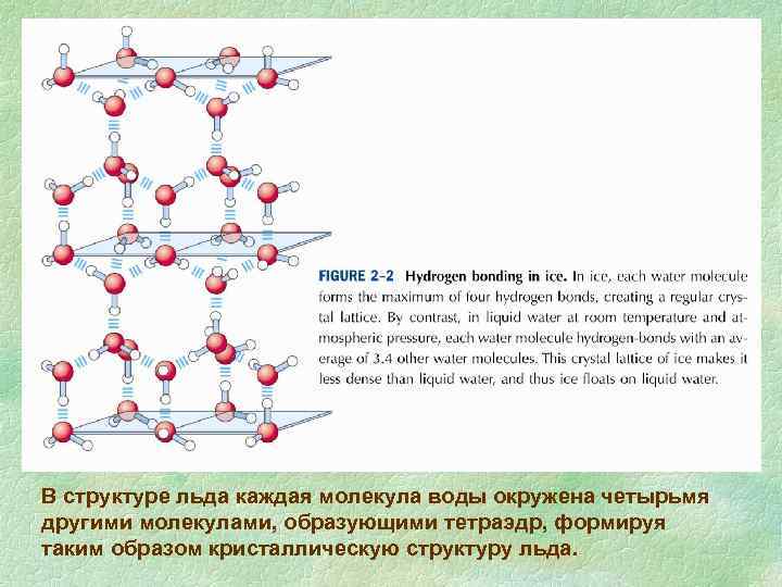 В структуре льда каждая молекула воды окружена четырьмя другими молекулами, образующими тетраэдр, формируя таким
