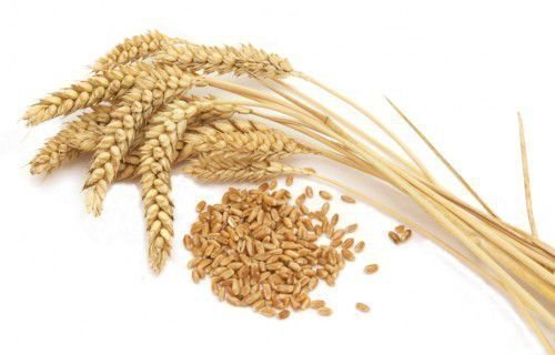 Зерновые корма