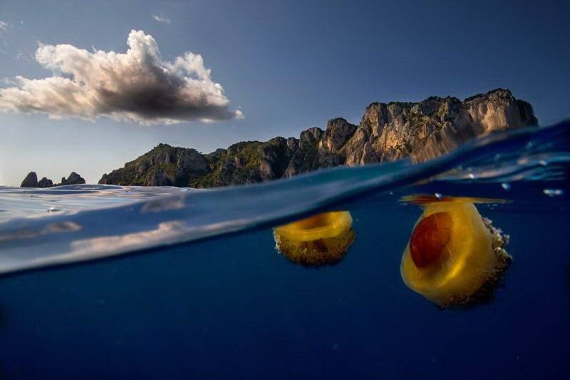 фото под водой и над водой-Алессандро Кутуньо