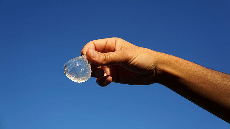 Ooho – замена пластиковой бутылки для воды