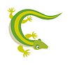 Зеленый дракон воды ящерица природа животное рептилии | Векторный клипарт