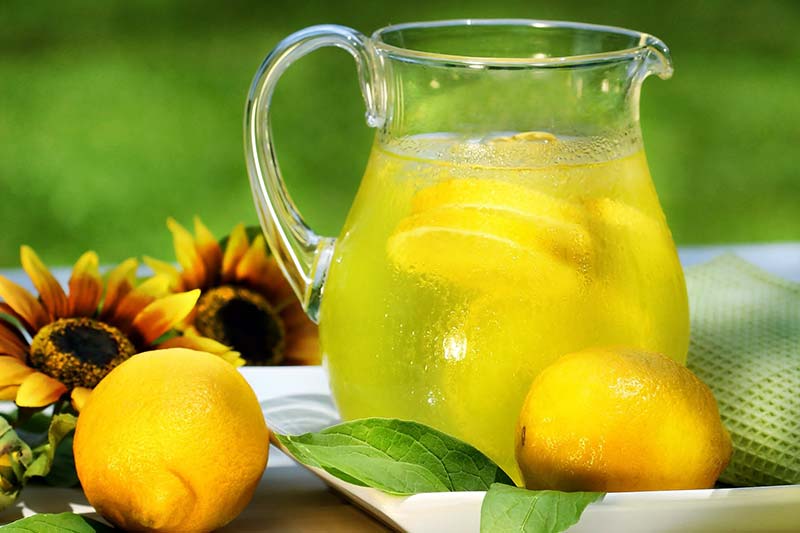 Фото воды с лимоном, полезна ли вода с лимоном
